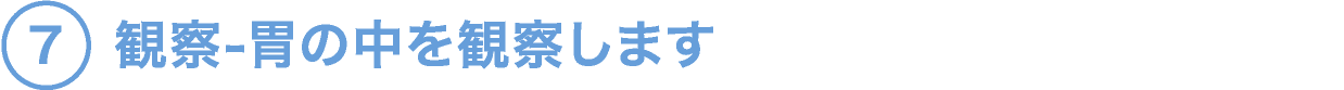 7.観察-胃の中を観察します