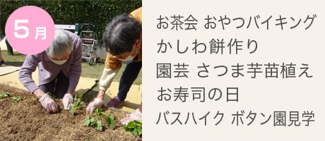 5月