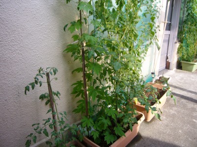 P1080019