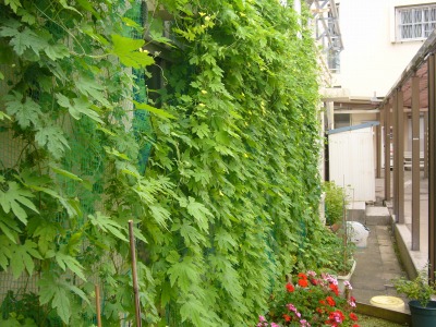 P1080038