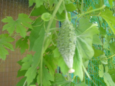 P1080039