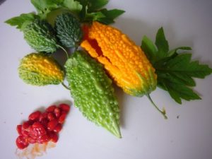 P1080607