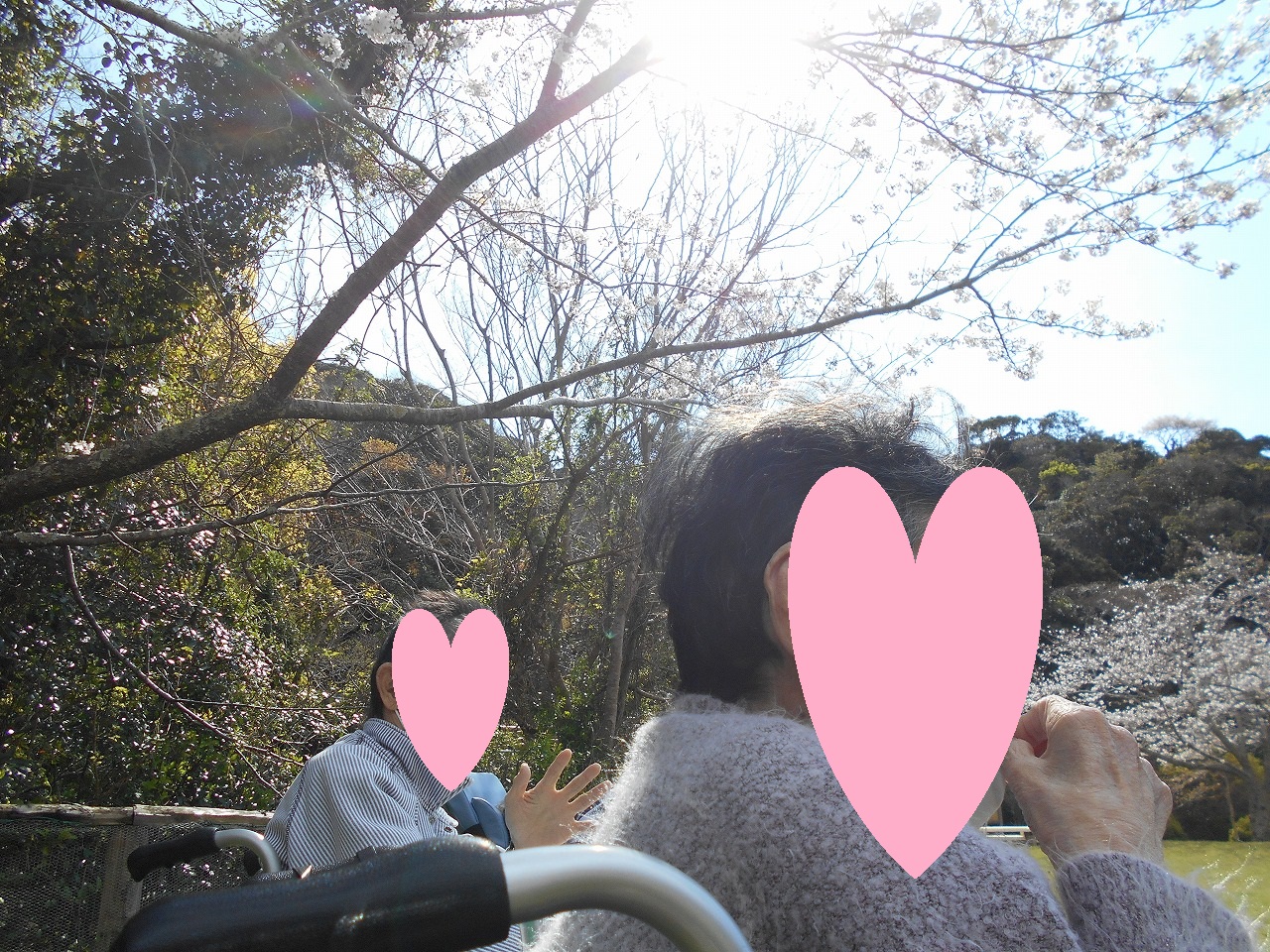 DSCN1737