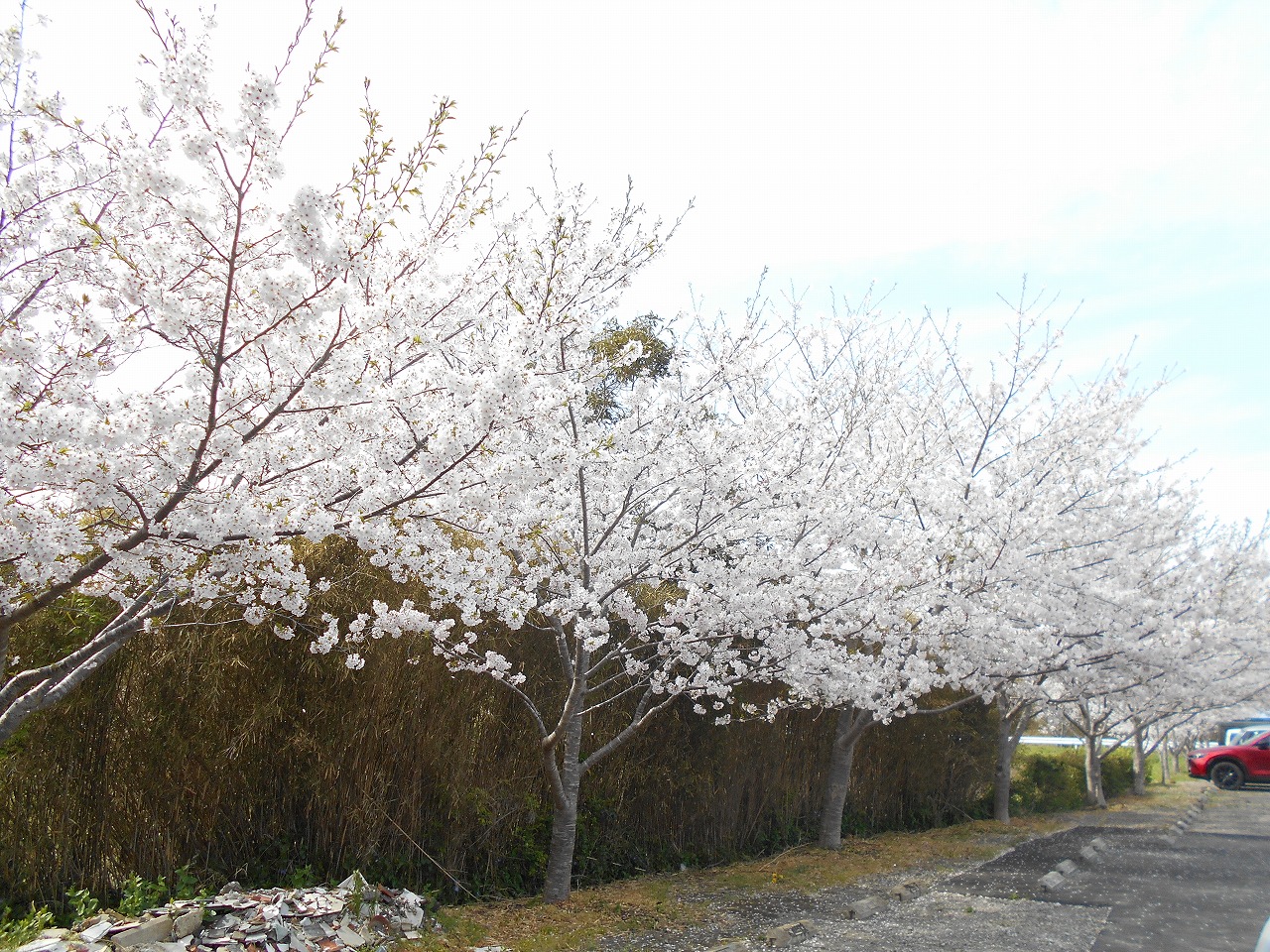 DSCN1764