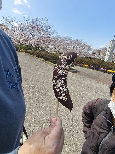 IMG_20250404_133816