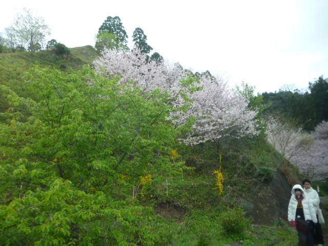P1070090