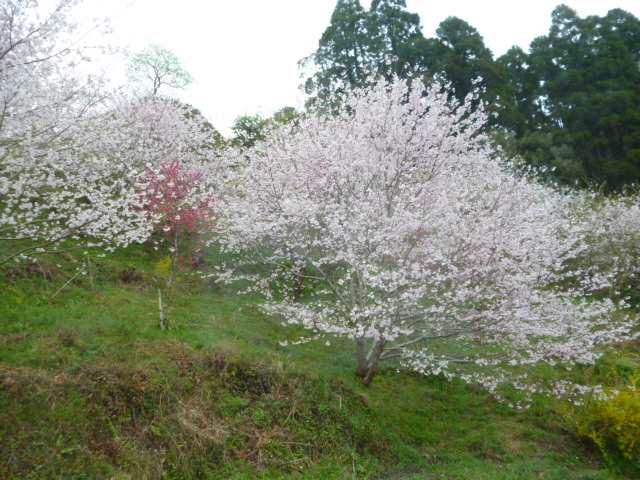 P1070091