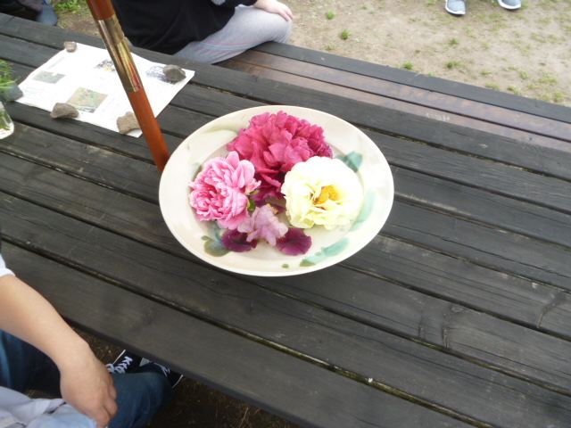 P1070105