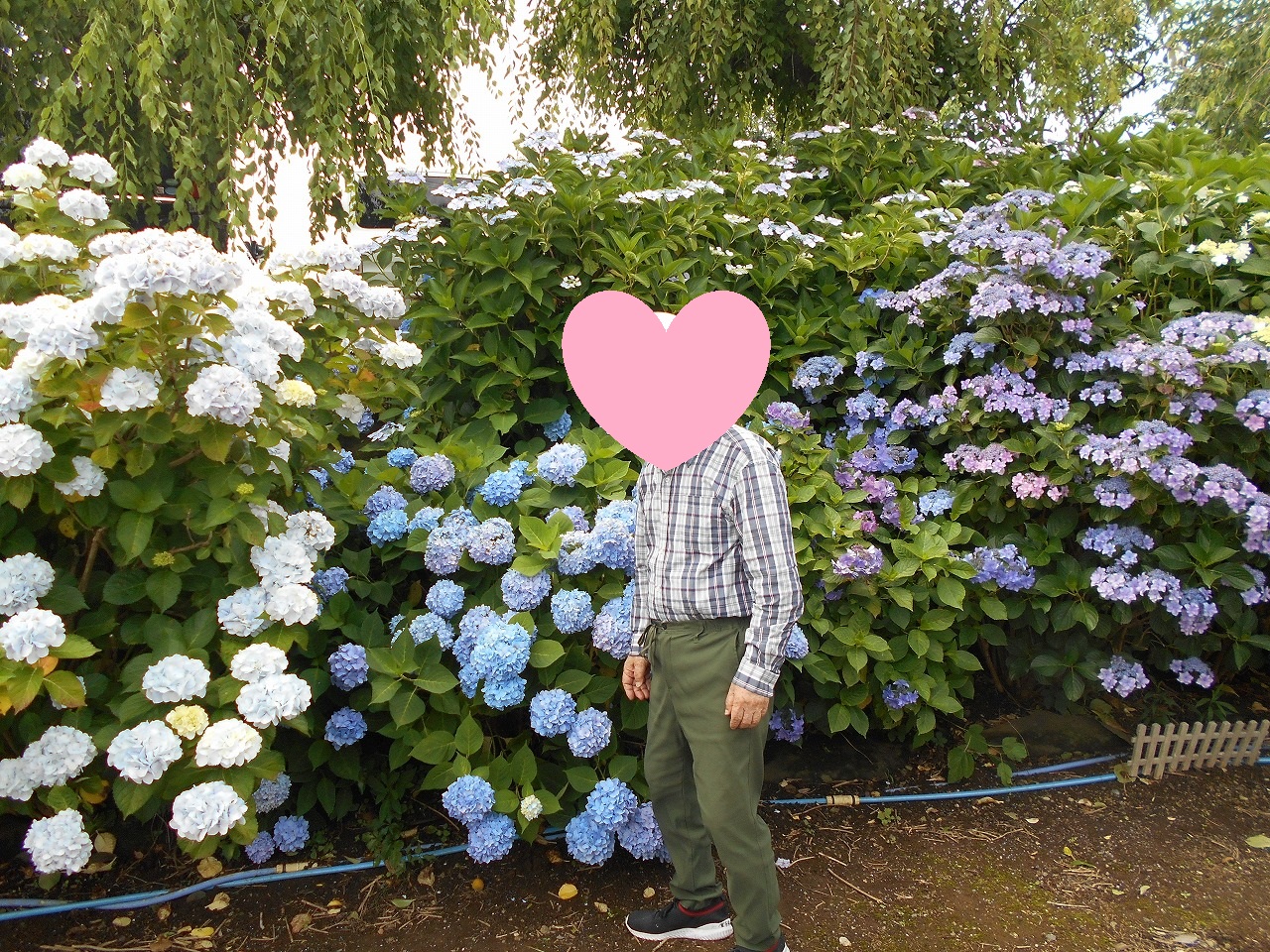 DSCN1792
