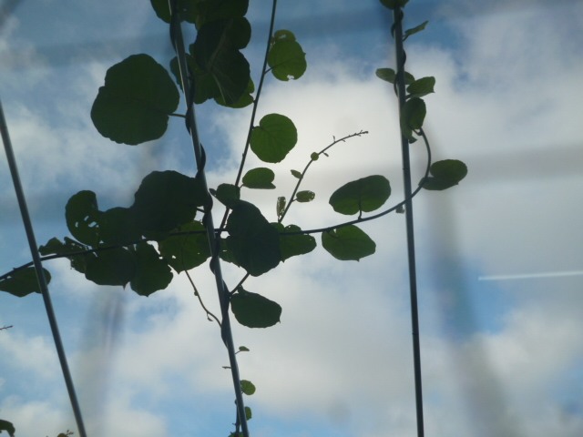 P1070152