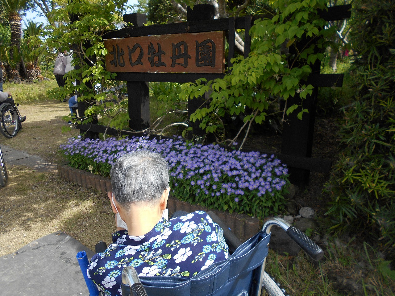 DSCN1974