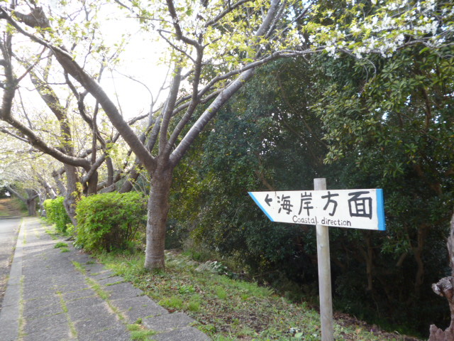 P1070316