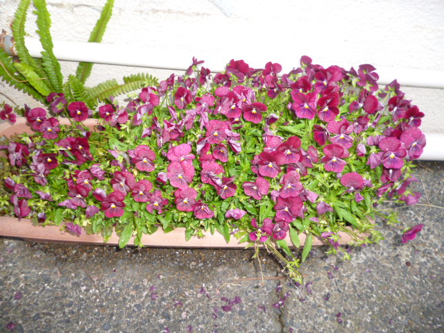 P1070332