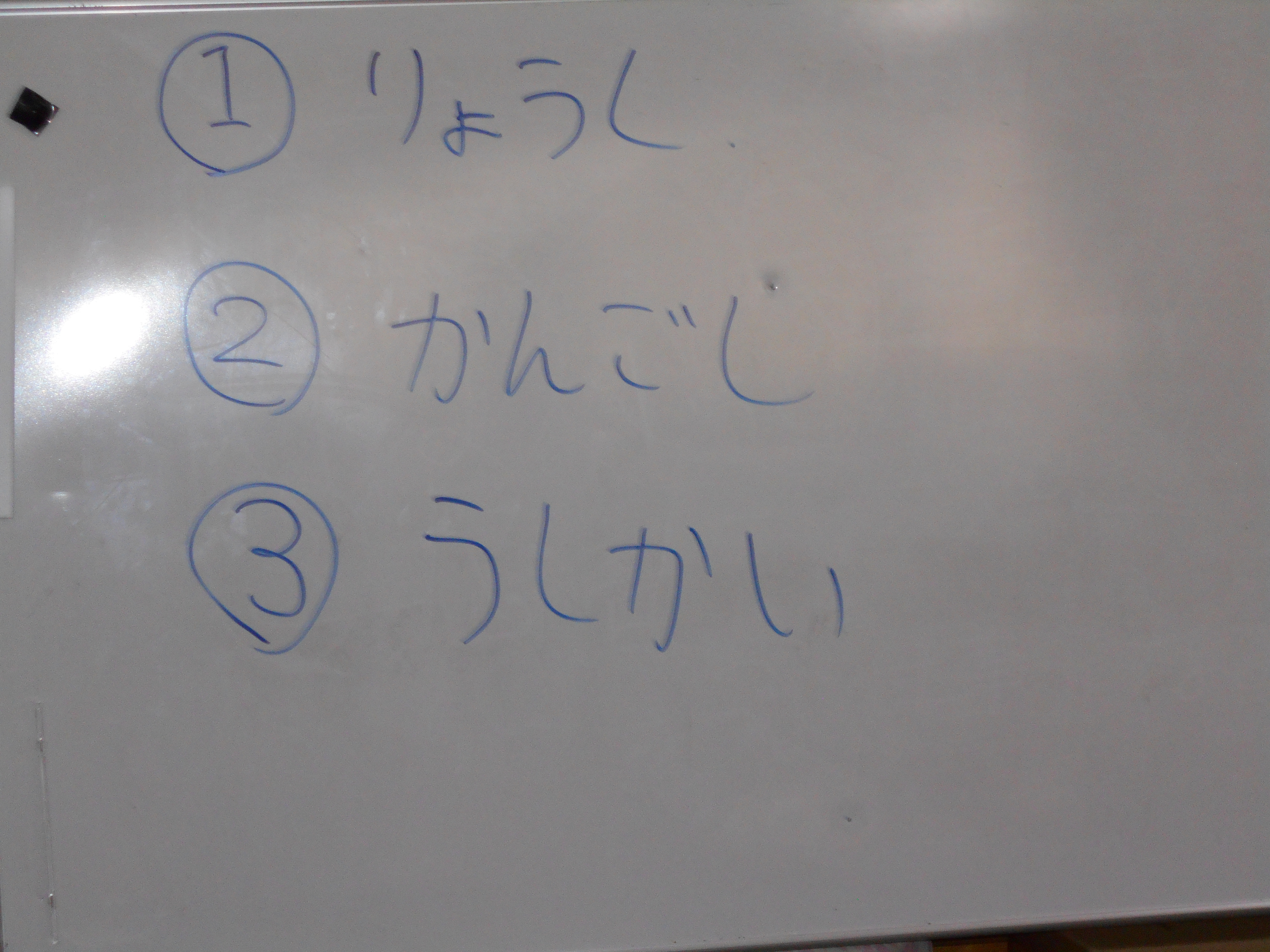 DSCN2051
