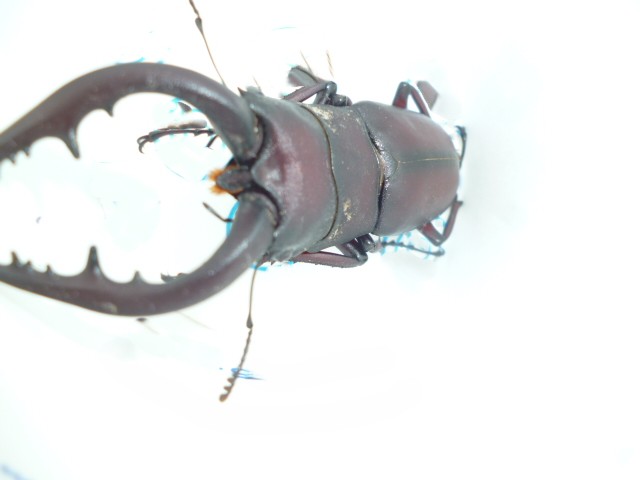 P1070382